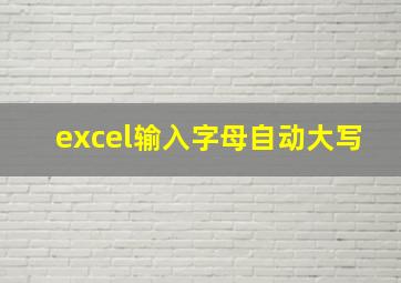 excel输入字母自动大写