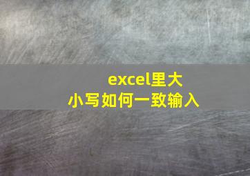 excel里大小写如何一致输入