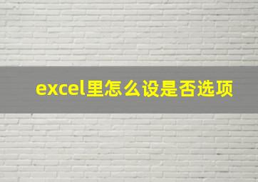 excel里怎么设是否选项