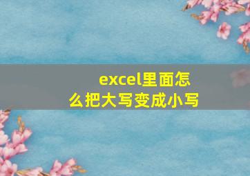 excel里面怎么把大写变成小写