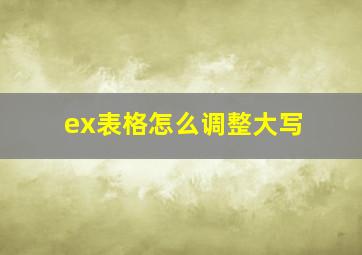 ex表格怎么调整大写