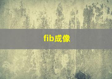 fib成像