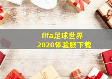 fifa足球世界2020体验服下载