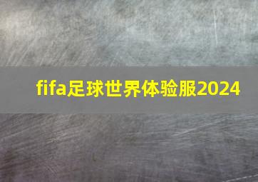 fifa足球世界体验服2024