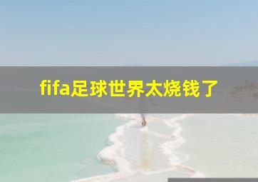 fifa足球世界太烧钱了