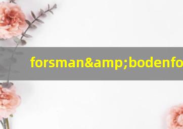 forsman&bodenfors上海