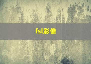 fsl影像