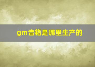 gm音箱是哪里生产的