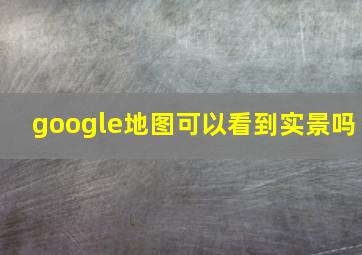 google地图可以看到实景吗