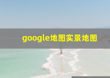 google地图实景地图