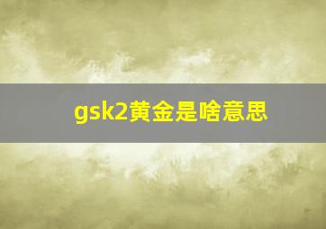 gsk2黄金是啥意思