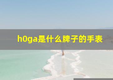 h0ga是什么牌子的手表