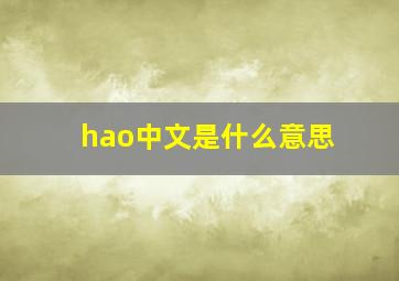 hao中文是什么意思