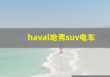 haval哈弗suv电车