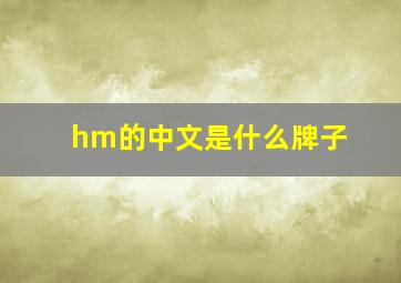 hm的中文是什么牌子