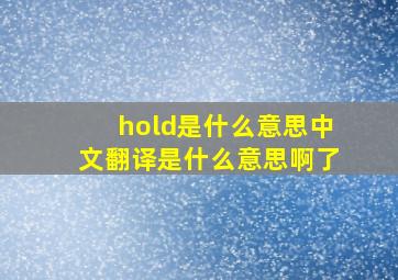 hold是什么意思中文翻译是什么意思啊了