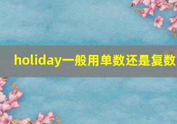 holiday一般用单数还是复数