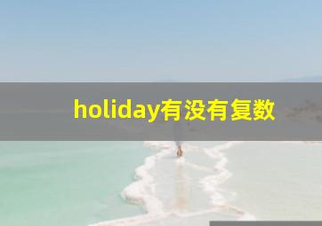 holiday有没有复数