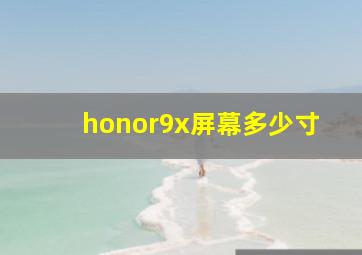 honor9x屏幕多少寸