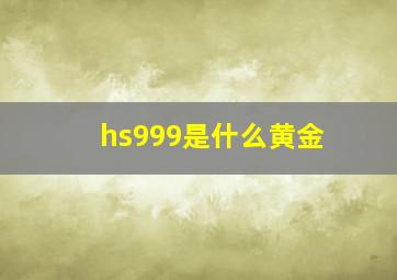 hs999是什么黄金