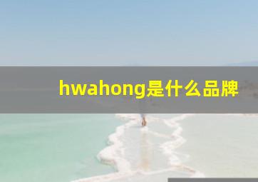 hwahong是什么品牌