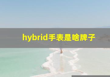 hybrid手表是啥牌子