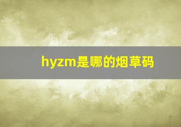 hyzm是哪的烟草码