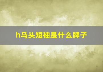 h马头短袖是什么牌子