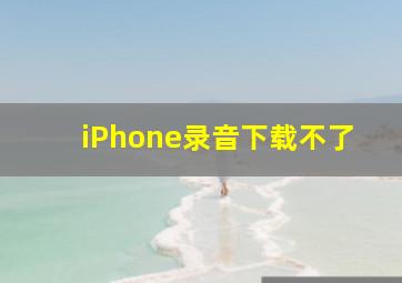 iPhone录音下载不了