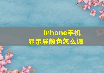 iPhone手机显示屏颜色怎么调