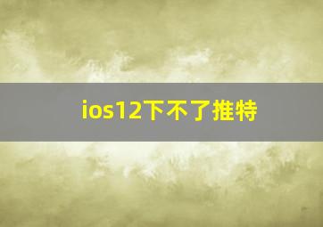 ios12下不了推特