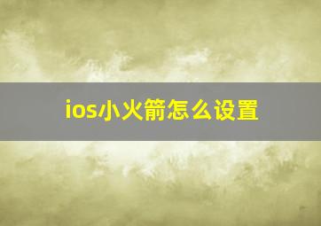 ios小火箭怎么设置