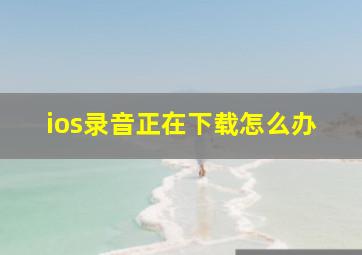 ios录音正在下载怎么办