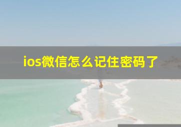 ios微信怎么记住密码了