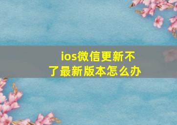 ios微信更新不了最新版本怎么办