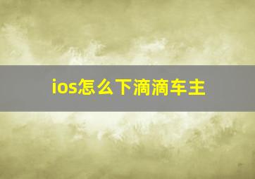 ios怎么下滴滴车主