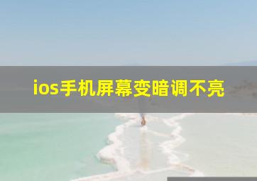 ios手机屏幕变暗调不亮