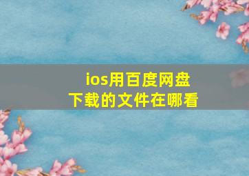 ios用百度网盘下载的文件在哪看