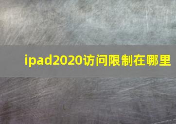 ipad2020访问限制在哪里