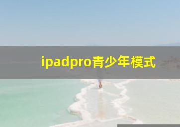 ipadpro青少年模式