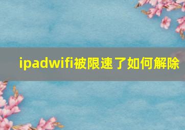 ipadwifi被限速了如何解除