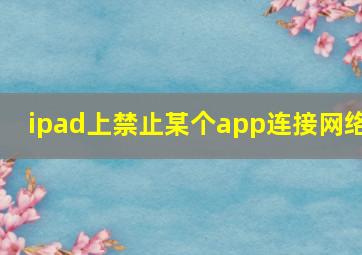 ipad上禁止某个app连接网络