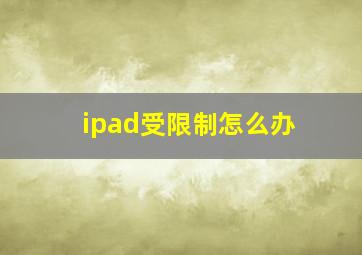 ipad受限制怎么办