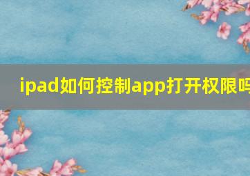 ipad如何控制app打开权限吗