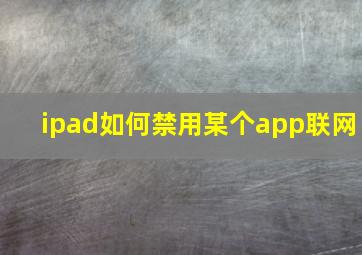 ipad如何禁用某个app联网