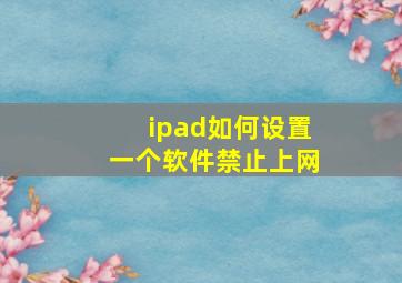 ipad如何设置一个软件禁止上网