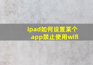 ipad如何设置某个app禁止使用wifi