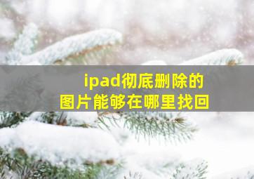 ipad彻底删除的图片能够在哪里找回