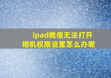 ipad微信无法打开相机权限设置怎么办呢