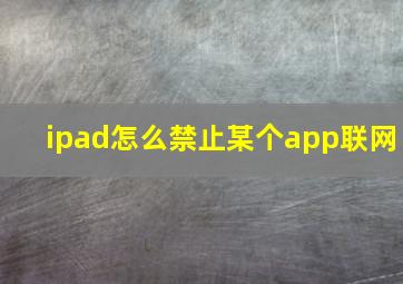 ipad怎么禁止某个app联网